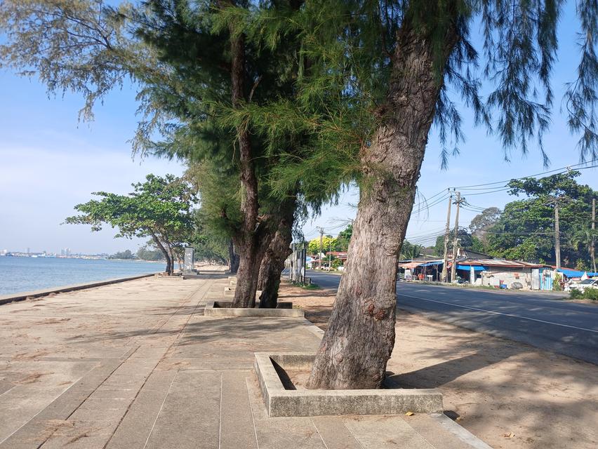 ที่ดินห่างชายทะเลหาดสวนสน จ.ระยอง 500 เมตร 2