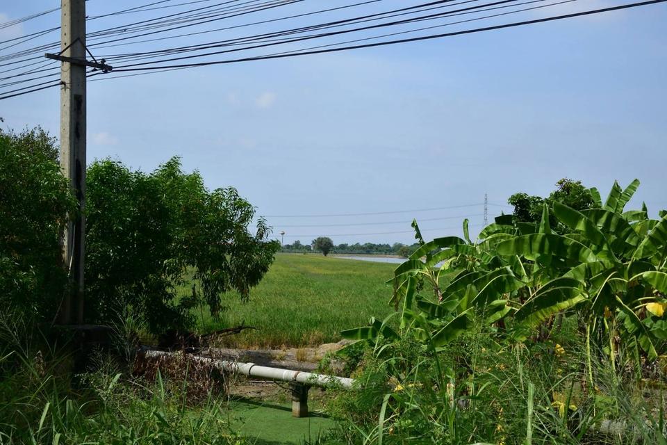 ที่ดินติดถนนปทุมธานี บางเลน ลาดหลุมแก้ว 7