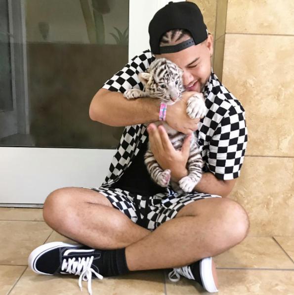 White Lion Cubs for sale รูปที่ 2