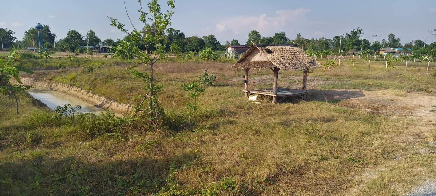 ที่ดิน อำเภอหนองหญ้าไซ สุพรรณบุรี 1