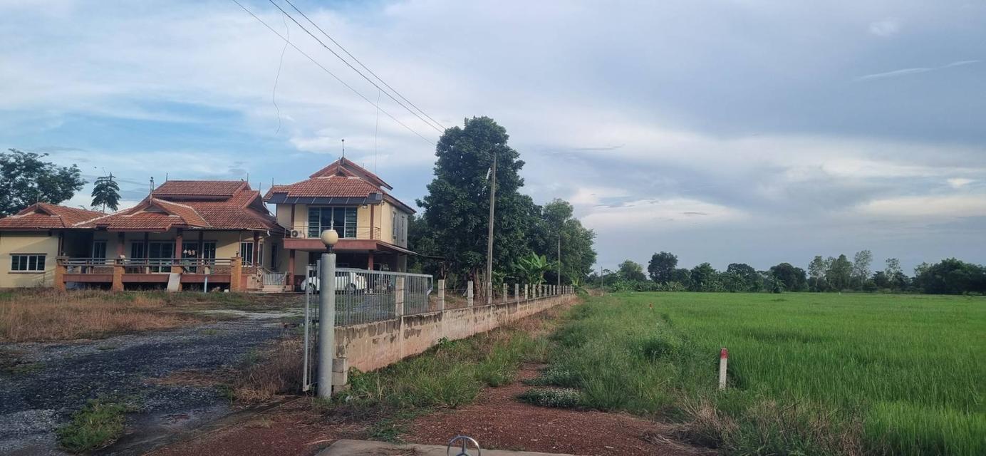 ขายที่ดินเปล่า นครนายก อ.เมือง 1 ไร่ 3 งาน 58 ตร.ว. ทำเลดี ติดคลอง ราคา 1.9 ล้าน 11