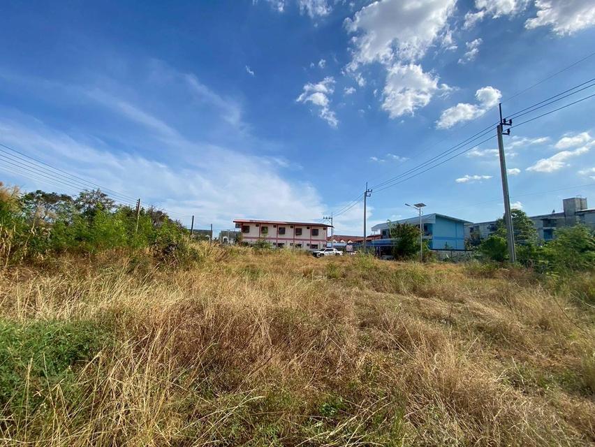 Vายถูกที่ดินบางโฉลง 284 ตารางวา ติดถนนคอนกรีตสาธารณะ ถมแล้ว ซอยพูลเจริญ อ.บางพลี จ.สมุทรปราการ 6