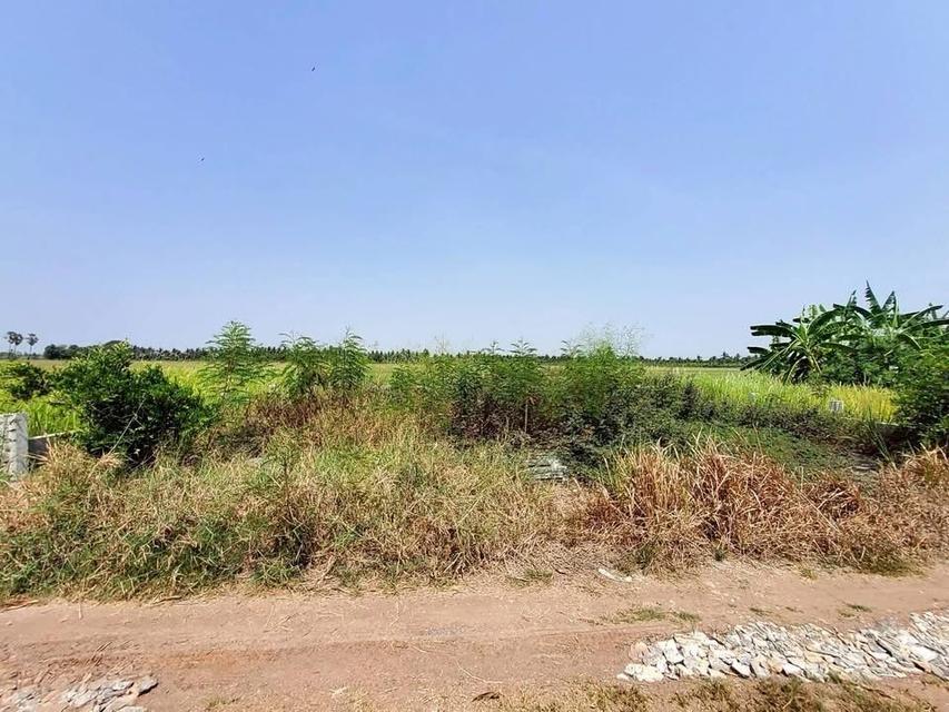 ขายด่วน ที่ดินตรงข้ามองค์การบริหารตำบลบ่อเงิน 40 ตารางวา ถนนสาธารณะ ถมแล้ว ต.บ่อเงิน อ.ลาดหลุมแก้ว จ.ปทุมธานี 5