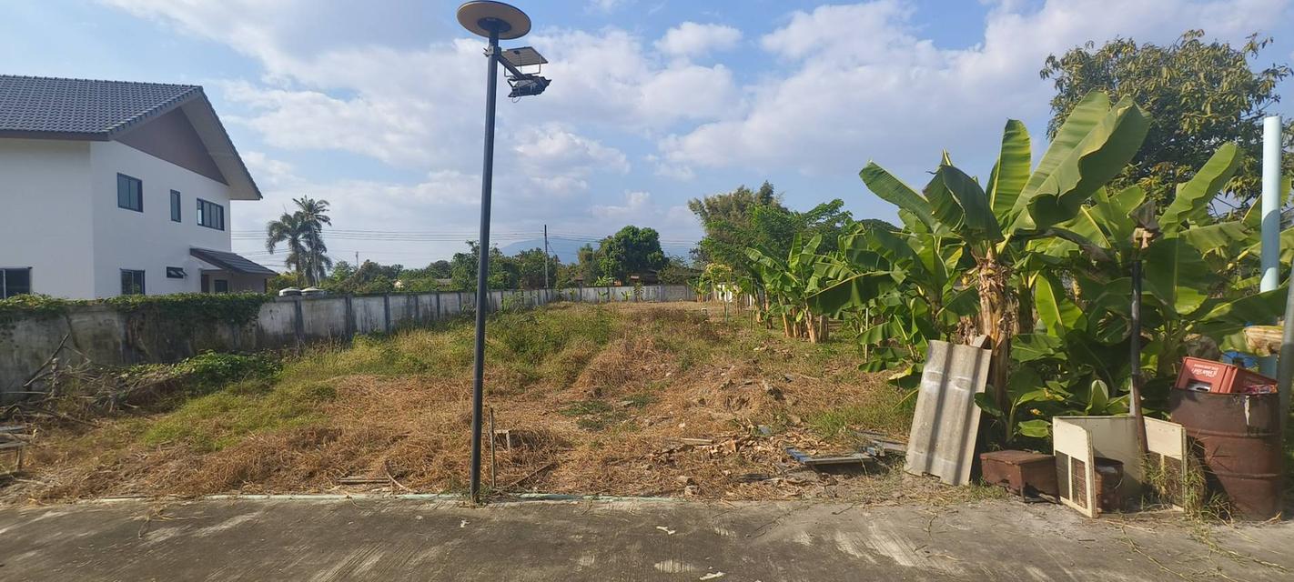 ที่ดิน 3 ไร่ พร้อมหอพัก 10 ห้อง ทำโครงการได้ ติดเส้นหลักบ้านกลาง 3