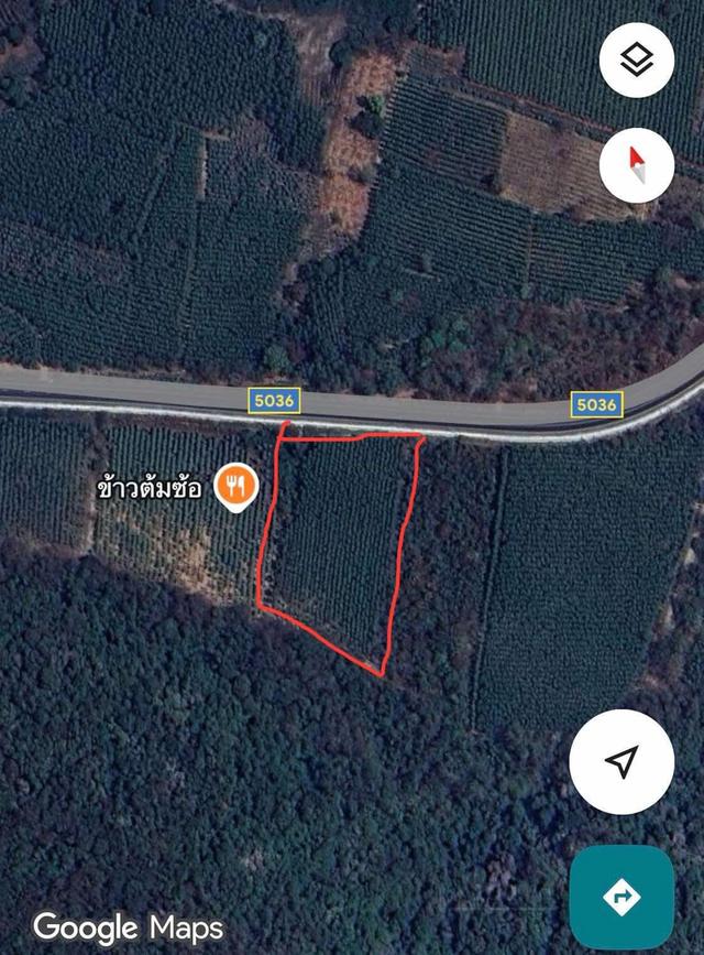 ที่สวนยูคาลิปตัสภ.บ.ท5ขนาด4ไร่2งาน