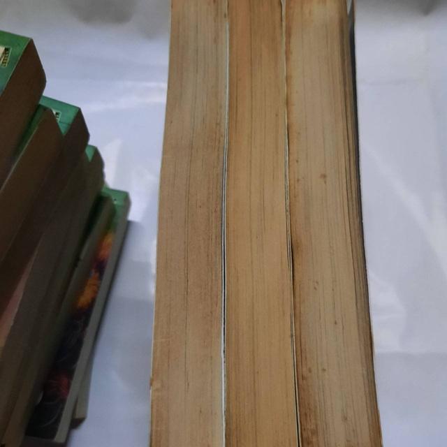 หนังสือการ์ตูนย์ - ลูกมังกรหยก วีรบุรุษจ้าวอินทรี รูปย่อยที่ 3