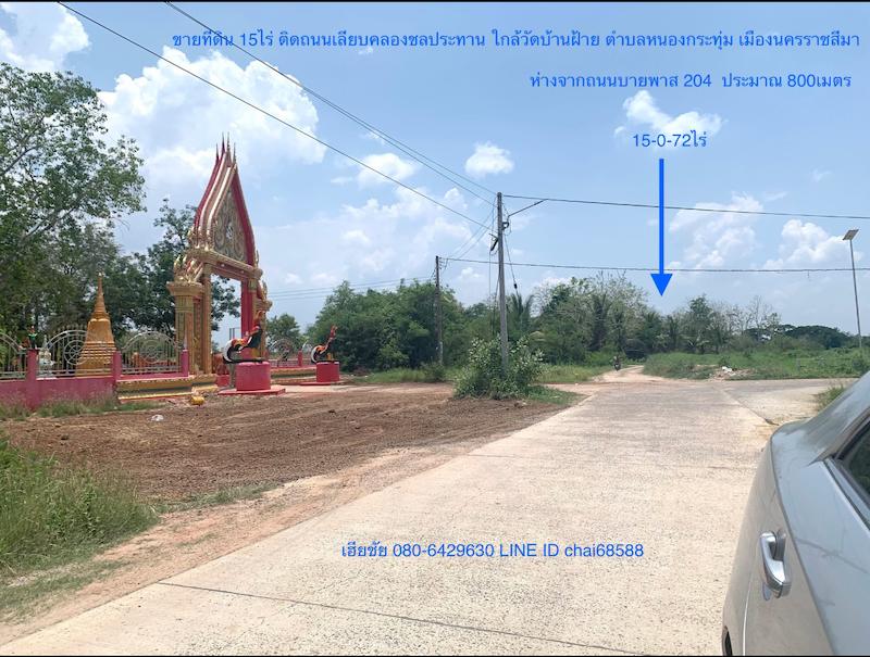 ขายที่ดิน เนื้อที่ 15ไร่ หน้ากว้าง 50เมตร ตำบลหนองกระทุ่ม เมืองนครราชสีมา ข้างวัดบ้านฝ้าย เนื้อที่ 15-0-72ไร่ห่างจากถนนบายพาส 204 1