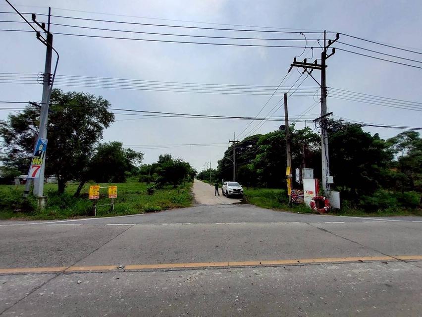 V ายถูกที่ดินใกล้วัดโพธิ์นิ่ม 225 ตารางวา(แบ่งได้) ถมแล้วทั้งแปลง ติดถนนคอนกรีต อ.สามโคก จ.ปทุมธานี 2