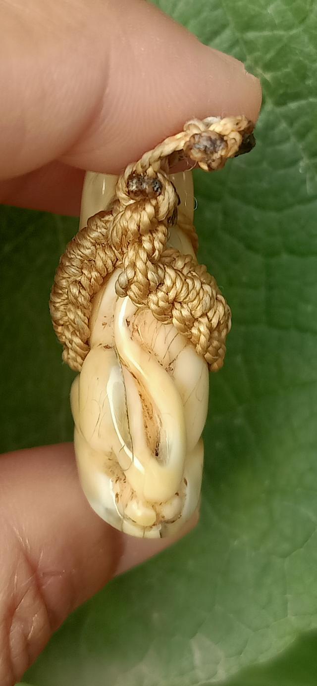 เสือเเกะ หลวงพ่อปานวัดบางเหี้ย รูปที่ 7