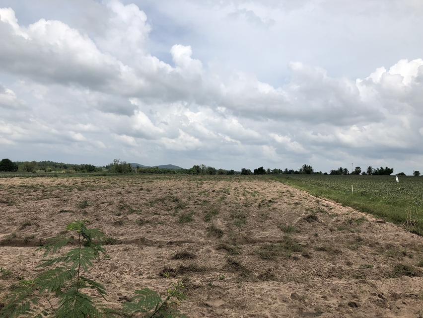ที่ดิน บ้านคา ราชบุรี 32 ไร่ ไร่ละ 300000 2