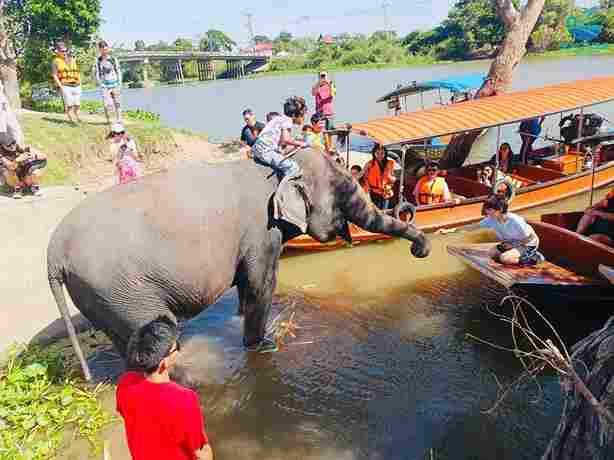 โปรแกรม AY224 ทัวร์อยุธยา One day trip  by Bemotour  นักท่องเที่ยวไทย : ท่านละ 1,500 บาท 7
