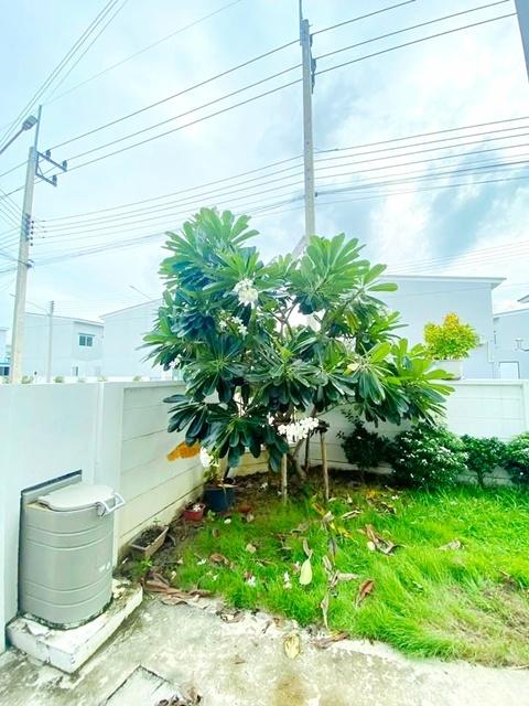 โลตัส วัดไพร่ฟ้า 1กม.ให้เช่า ทาวน์โฮม 2 ชั้น 3 นอน รร.เทคโนโลยีแหลมทอง 1.2 กม. 2 น้ำ รพ.ปทุมธานี 3.6 กม.ถ. กรุงเทพ-ปทุมธ 8