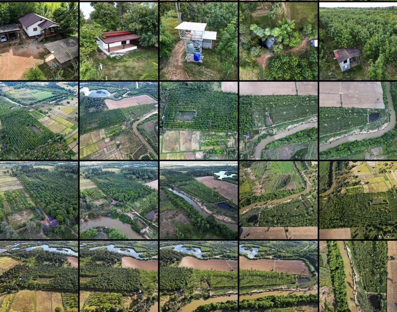 ที่ดินบ้านสวน บ้านท่าม่วง หนองลาด สกลนคร 1