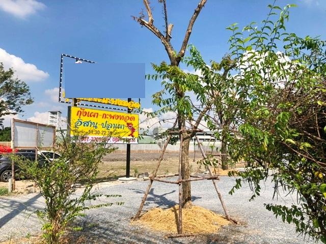 เดอะคริสตัล ชัยพฤกษ์ 1.9 กม. BTS ปากเกร็ด 4.9 กม. แม็คโคร ให้เช่าที่ดิน 2 ไร่ (800 ตร.วา.) ถนนชัยพฤกษ์ ทำเลศักยภาพสูง หน 8