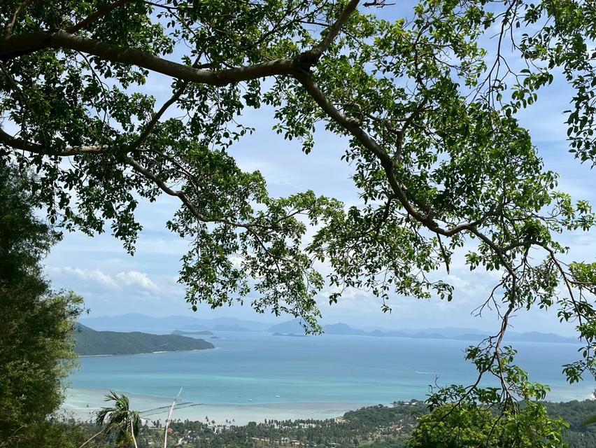 ขายที่ดินวิวทะเล ทำเลทอง เกาะสมุย 4