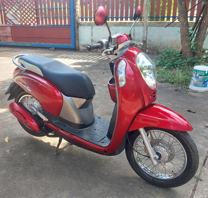 scoopy i