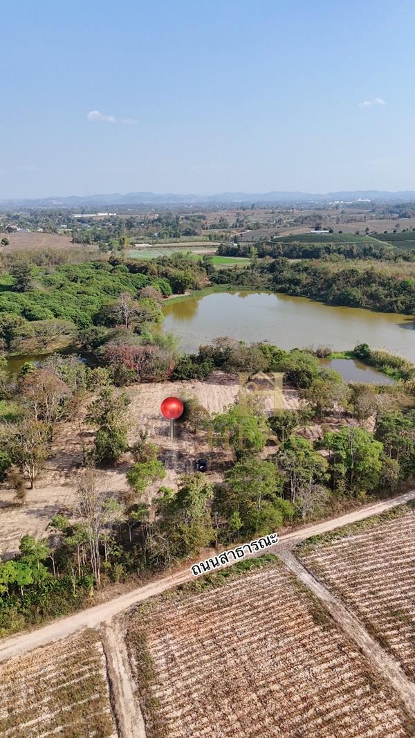 ขายที่ดิน 12 ไร่กว่า ทำเลศักยภาพ ใกล้แหล่งท่องเที่ยว จ.เชียงราย อ.แม่จัน ต.ศรีค้ำ เดินทางสะดวก โทร 081-0321111 9