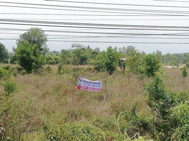 ขายอสังหาริมทรัพย์บ้านที่ดิน เมืองบ้านตากจังหวัดตาก 3-1-40 ไร่ ติดถนนเอเซีย AH1 ติดถนนพหลโยธินไร่ 3ลบ. โทร096-8821857 2