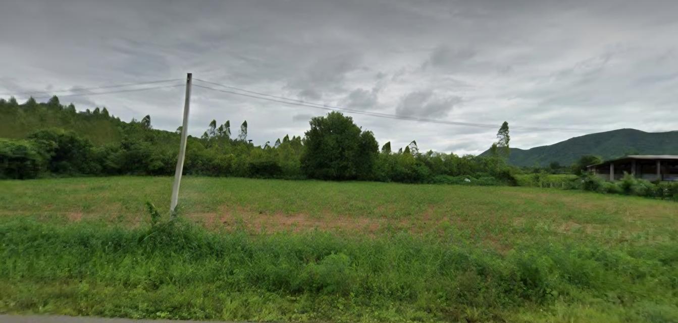 ขายที่ดิน (เจ้าของขายเอง) แปลงสวยติดถนนราดยาง 2