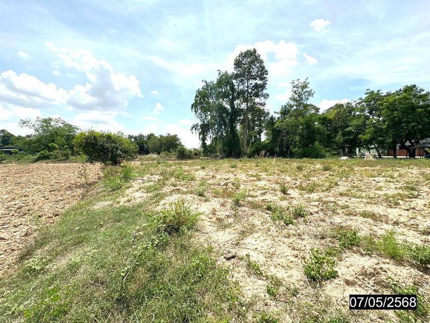 ที่ดินร้อยเอ็ด 8 ไร่กว่า ผืนใหญ่ ทำเลดี ติดถนนสายหลัก 9