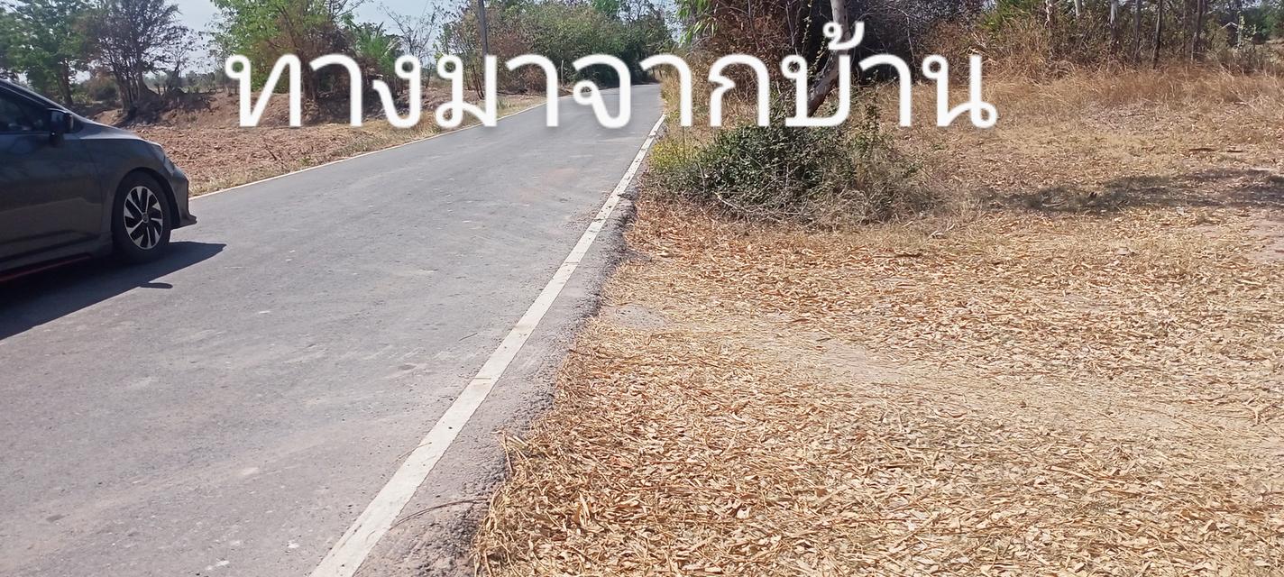 ที่ดิน ทำการเกษตร ปลูกบ้านอาศัย หรือทำร้านพานิชย์ 2