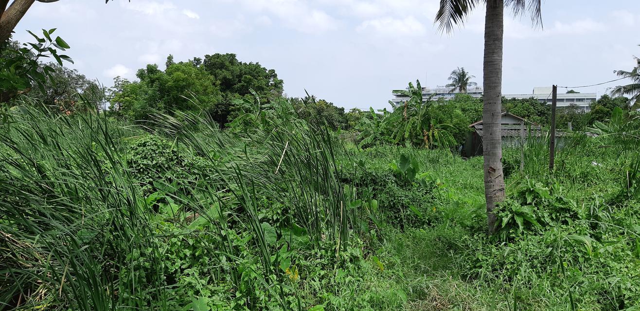 ขายที่ดินจรัญสนิทวงศ์ 23  จำนวน  8 ไร่ 2 งาน 15 ตารางวา 12