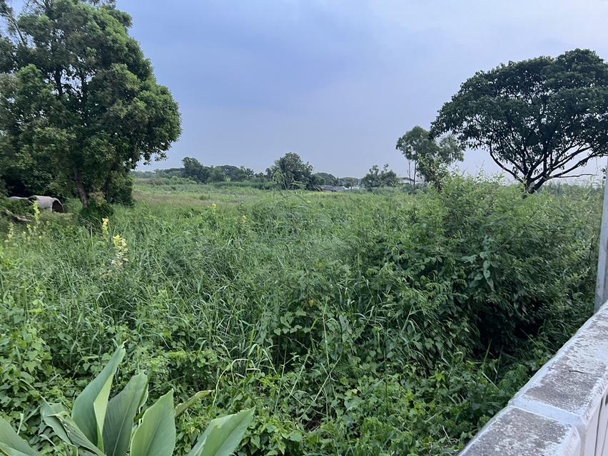 ขายที่ดิน 48 ตรว. ถ.นิมิตรใหม่ เหมาะปลูกบ้าน ขายถูกสุดๆๆ 4