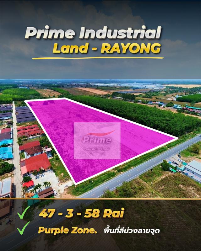 ขายที่ดิน 48 ไร่ ผังม่วงลาย ถมแล้ว ใกล้ BYD / WHA36 เขต EEC ทำโรงงานได้ 1