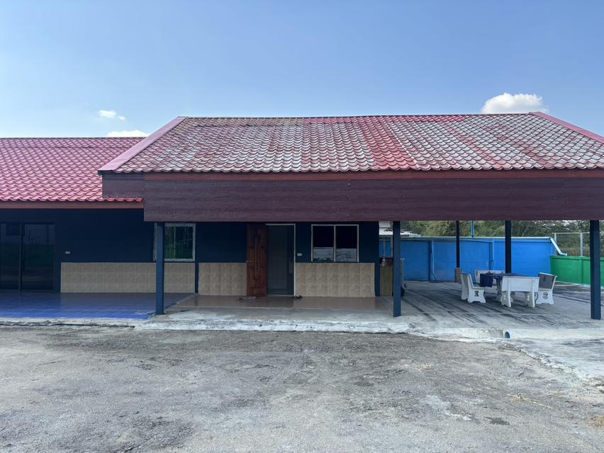 ขายบ้านเดี่ยวสภาพดี 200 ตารางวา อยู่ใกล้ตัวเมืองปากช่อง 15