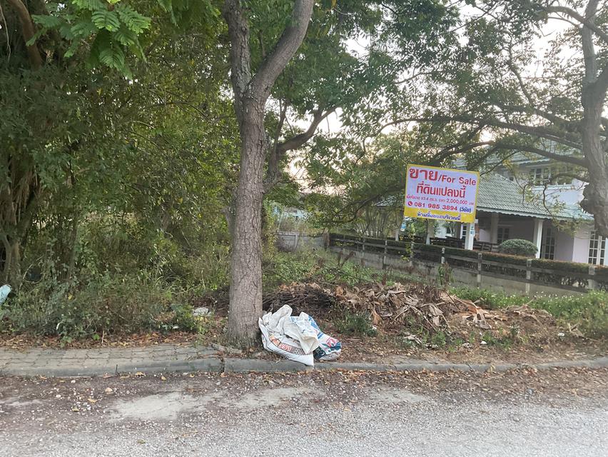 ที่ดินเปล่าใกล้ทะเล โครงการบางซองลากูน ปึกเตียน เพชรบุรี 2000000 บาท 2