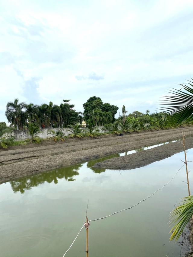 ขายที่ดินเปล่า 8 ไร่ 1 งาน 15 ตร.วา ติดถนนเส้น 375 นครปฐม - ดอนตูม 6