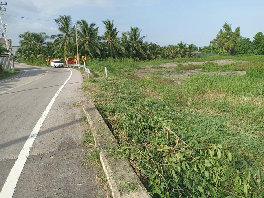 ขายที่ดินสมุทรสงครามติดถนนชนบทและคลองขนาดที่ดินเกือบ 2.2 ไร่ 1