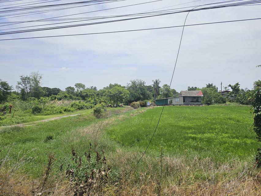 ขายที่ดินจังหวัดนนทบุรี 5