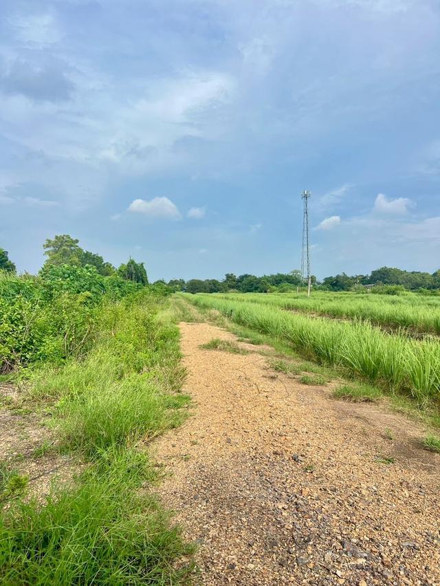 ที่ดินคลอง13 หนองเสือ หลังเทศบาลหนองสามวัง 5