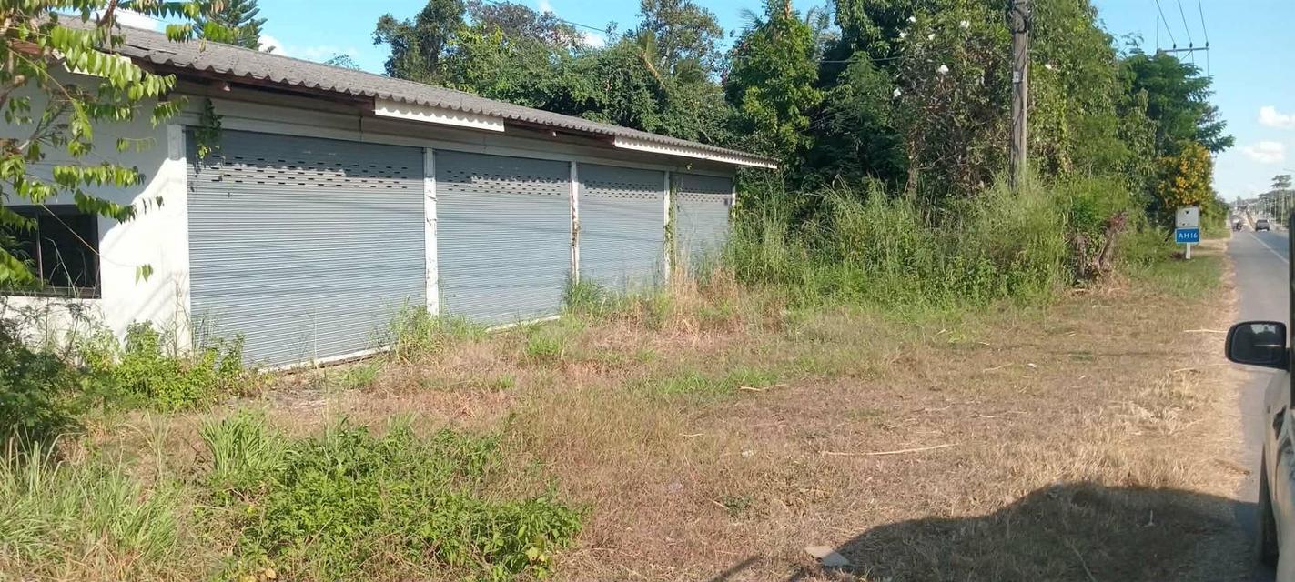 ที่ดินพร้อมโกดัง 3 ห้องนอน 2 ห้องน้ำ 1