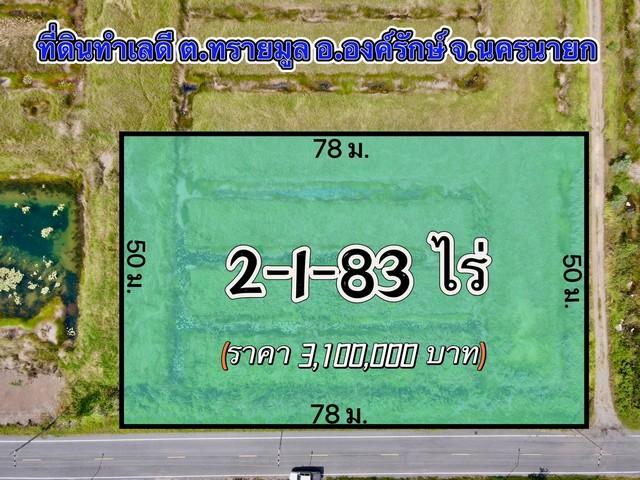 ขายที่ดินทรายมูล 2 ไร่ ติดถนน2ด้าน ใกล้ถนนเส้นรังสิต-นครนายก305-1กม. องครักษ์ นครนายก