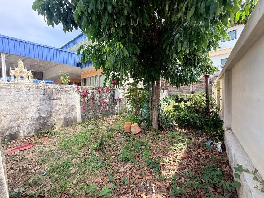 ขายด่วนที่ดิน 30 ตรว ติดถนนสาธารณะ ถมแล้ว ซ.บางศรีเมือง 1/9 เมืองนนทบุรี 3