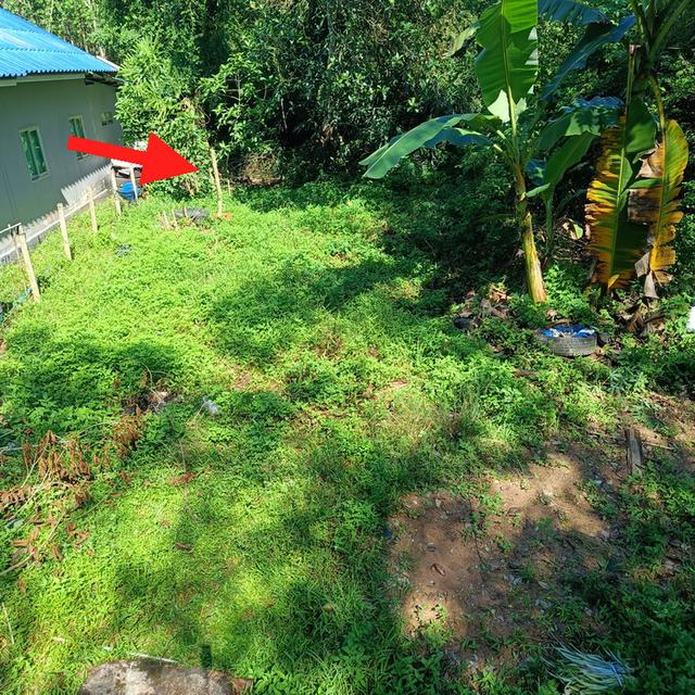 ที่ดินสวยใกล้สนามบินหาดใหญ่ติดมุมถนนสองด้านเจ้าของขายเอง 8