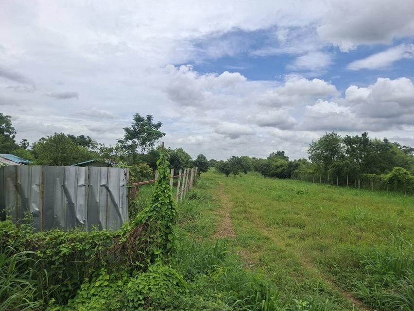 ขายที่ดินแปลงใหญ่ ติดถนน 4เลน สระบุรี-เพชรบูรณ์ 17