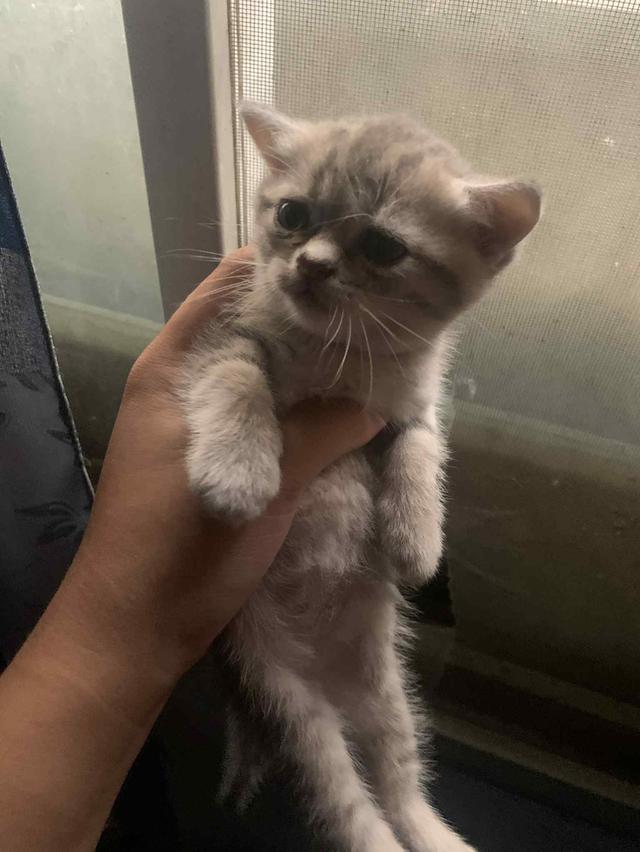 เจ้าตัวเล็กวัยรุ่นขอนแก่น