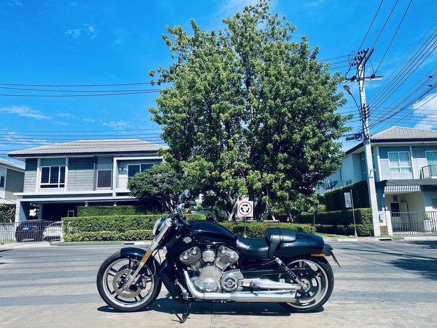 Harley Davidson VRod muscle 2012