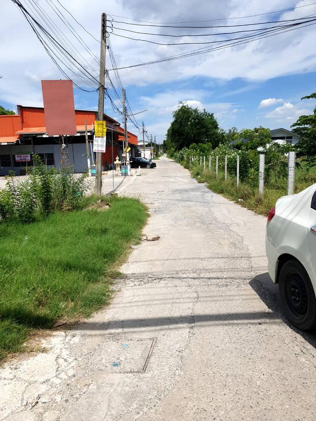 ขายที่ดินเปล่า  4