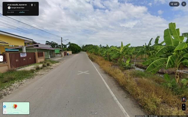 ที่ดินอัมพวา บ้านแพ้ว สมุทรสาคร เหมาะพัฒนา–แบ่งแปลง–สร้างโกดัง! ที่ดินผังสีเขียวลาย ติดถนน 2 ด้าน 5