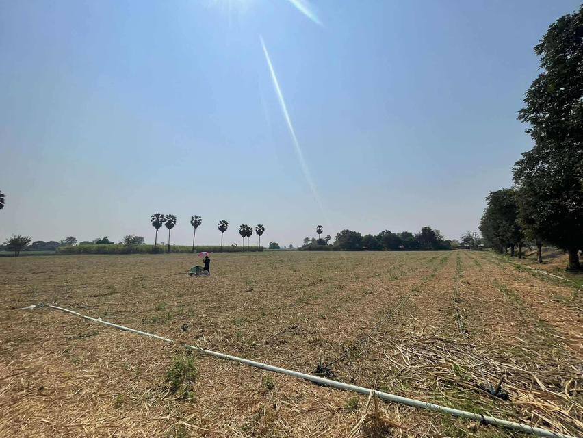 ที่ดินอู่ทอง สุพรรบุรี 20 ไร่ 16.40 ลบ. 4