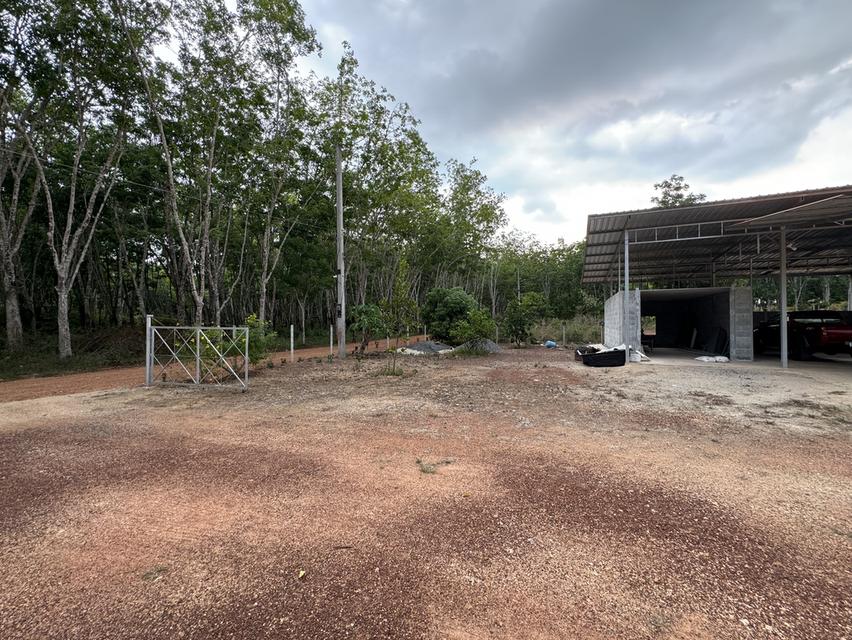 บ้านหลังใหญ่ พร้อมทุเรียน4ปี และสวนยางพารา 9