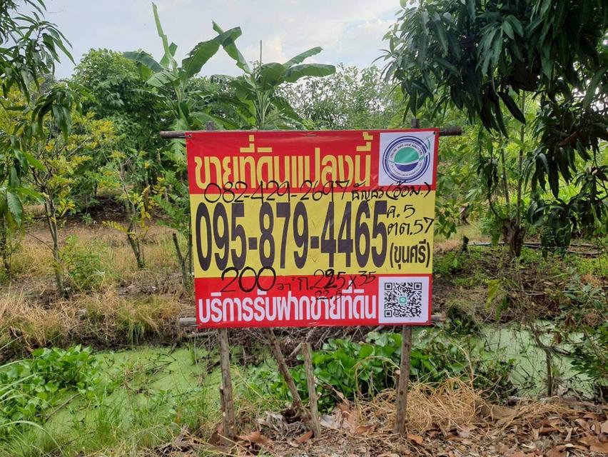 🔊ขายด่วน‼️ที่ดินคลองห้า 200 ตารางวา💢ติดถนนคอนกรีตสาธารณะ📮ซอย คลองห้า ตต.57 อ.คลองหลวง จ.ปทุมธานี📲095-878-4465   1