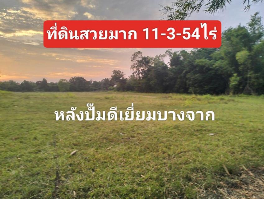 ที่ดิน อ.เมือง จ.อุบลราชธานี 6