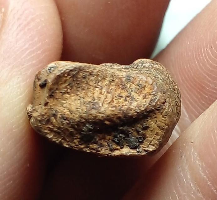 พระรอด ลำพูน พระบ้านสะสม 3