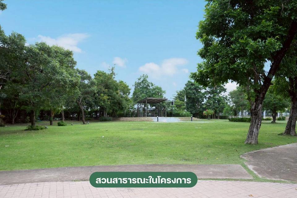 ขาย/เช่า ทาวน์เฮ้าส์ พฤกษาดีไลท์เดอลอฟท์ ดอนเมือง-ม.รังสิต ฟีลบ้านเดี่ยว พื้นที่เยอะ 12