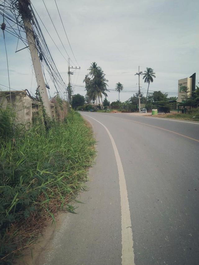 ขายถูกที่ดินเปล่า ต.ลำพยา เมือง นครปฐม  5